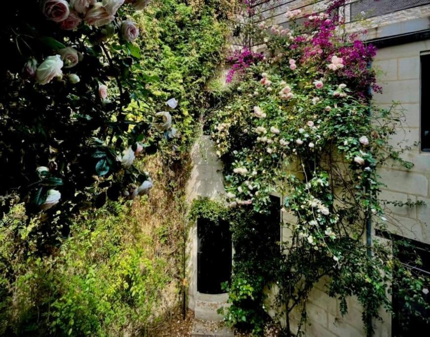 La Dame De Verre Rochefort-sur-Mer Extérieur photo